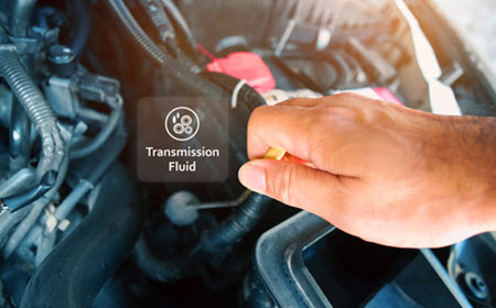 Audi Transmission Fluid Check